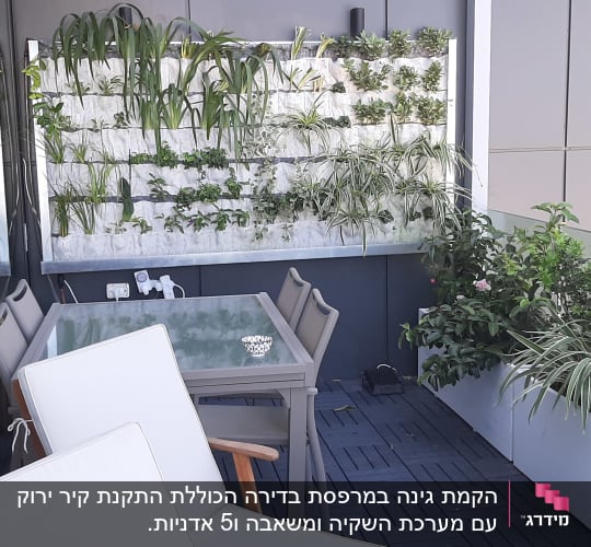 קיר ירוק עם צמחים, עציצים על מרפסת